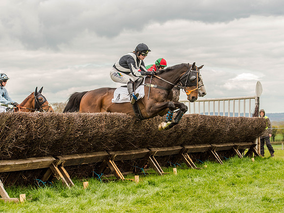 Race 3 - Young Horse maiden 2m5f (62 of 124).jpg