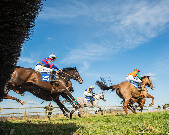 Race 1 - Open Maiden Division 2 (95 of 173)