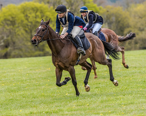 Race 0 - Hunt Scurry (14 of 27).jpg