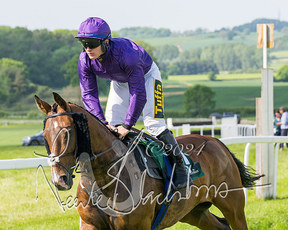 Race 4 - PPORA Novice Riders Final  (136 of 362)