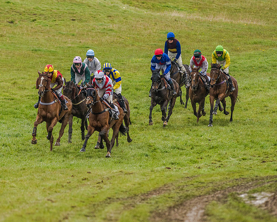 Race 5 - Restricted Race (47 of 146).jpg