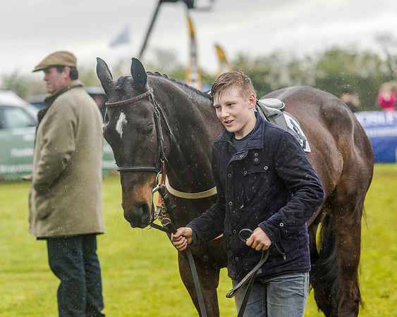Race 5 - Open Maiden (16 of 147).jpg