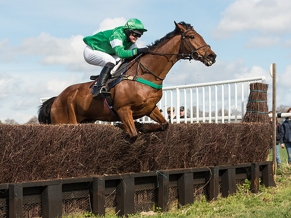 Race 2 - Confined Hunts Race (56 of 87).jpg