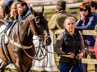 Race 4 - Ladies Open [Nov-Vet] (6 of 82).jpg