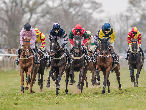 Race 5 - Open Maiden Division 1  (44 of 90).jpg