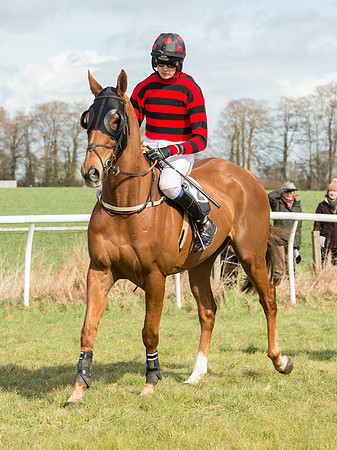 Race 2 - Confined Hunts Race (32 of 87).jpg