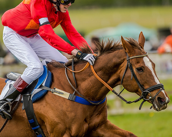 Pony Race 3 (63 of 78).jpg