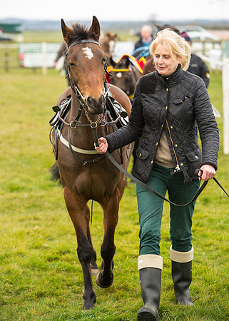 Pony Race 1 - 138cm -17