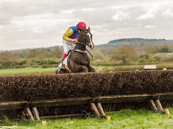 Race 2 - PPORA Club Members Conditions 2m5f (88 of 137).jpg