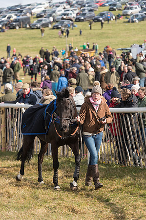 Race 4 - Novice and Veteran Riders race (7 of 46).jpg