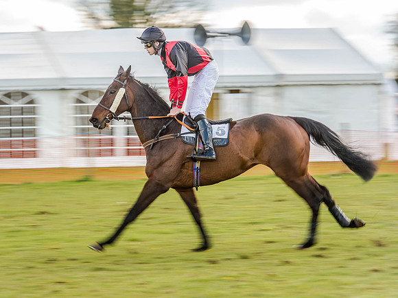 Race 6 - The Restricted Race [Nov-Vet] (30 of 84).jpg