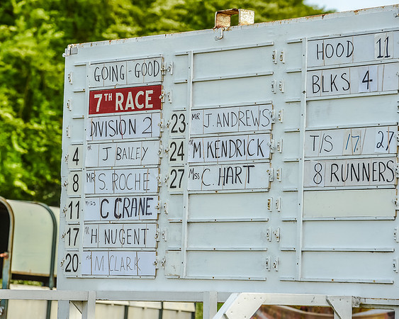 Race 7 - Div 2 - Open Maiden (2 of 163).jpg