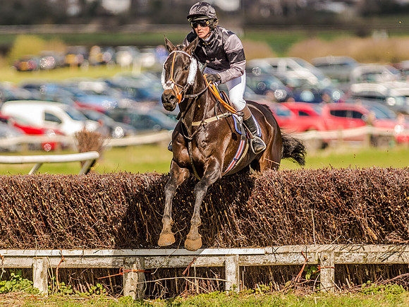 Race 4 - Ladies Open [Nov-Vet] (51 of 82).jpg