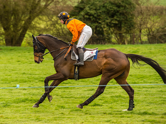 Race 7 - Open Maiden Division 2  (30 of 106).jpg