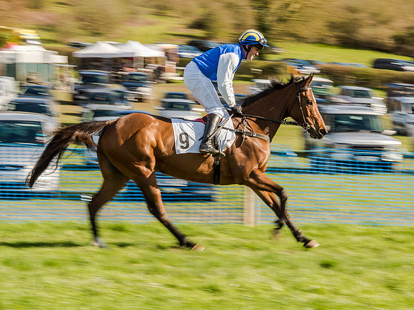 Race 6 - The Open Maiden (22 of 122).jpg