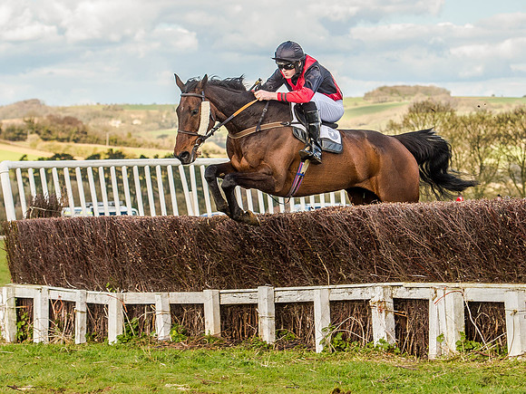 Race 6 - The Restricted Race [Nov-Vet] (40 of 84).jpg