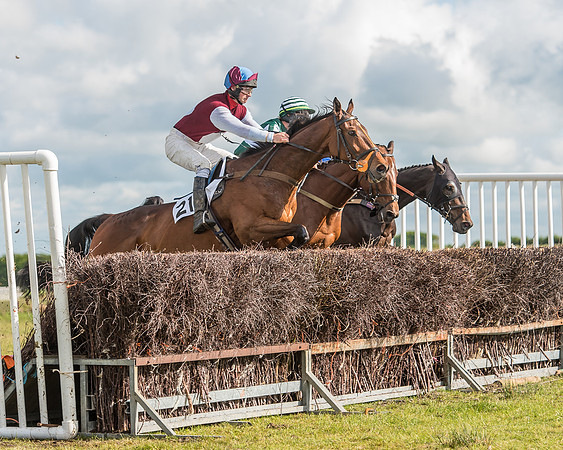 Race 6 - Open Maiden Race (35 of 71).jpg