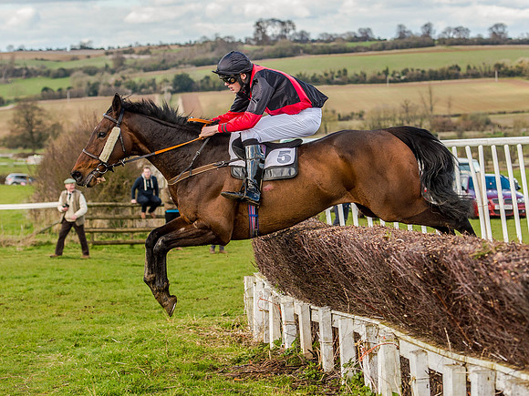 Race 6 - The Restricted Race [Nov-Vet] (50 of 84).jpg