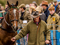 Race 2 - PPORA Club Members Conditions 2m5f (2 of 137).jpg