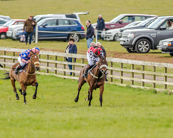 Pony Race 3 (25 of 78).jpg