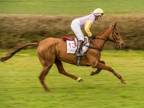 Race 6 - Open Maiden Division 1  (44 of 133).jpg