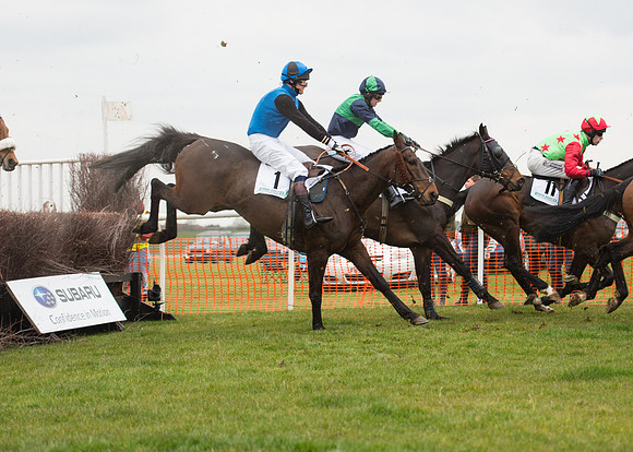 Race 6 - Confined Hunts-45