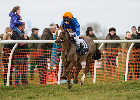 Pony Race 1 - 138cm -99