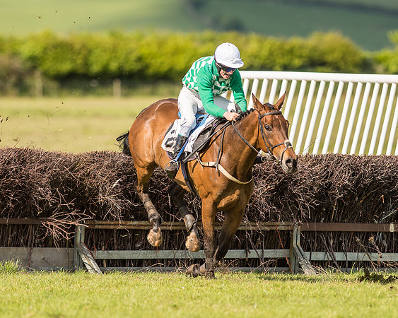 Race 6 - Open Maiden Race (60 of 71).jpg