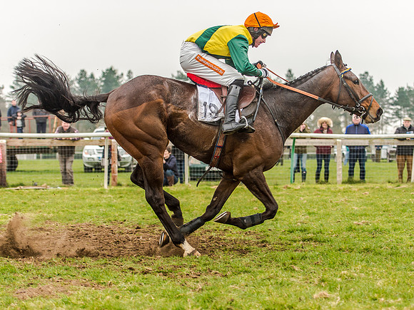 Race 5 - Open Maiden Division 2 (89 of 112).jpg