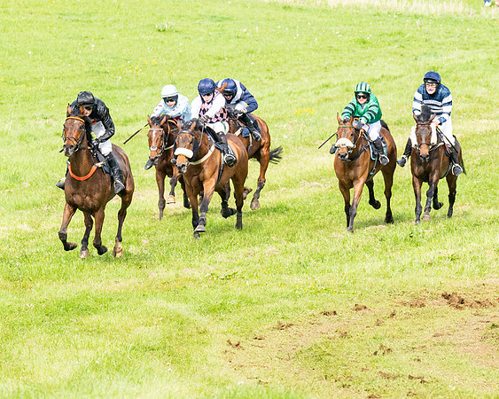 Race 5  - Novice riders (133 of 188)
