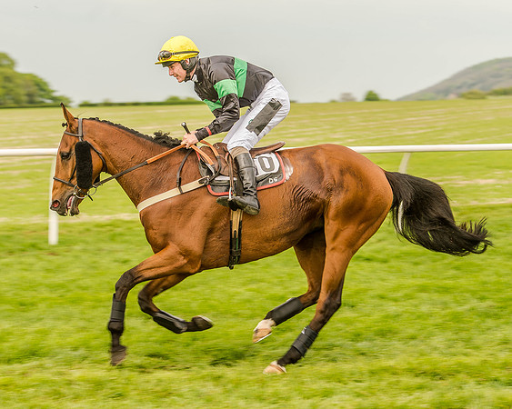 Race 5 - Intermediate Race (38 of 168).jpg