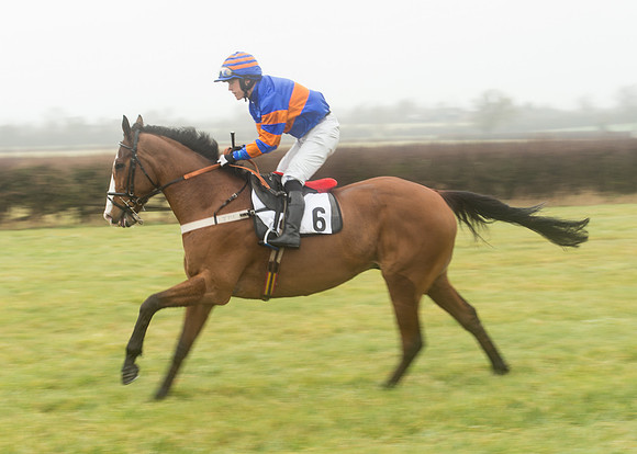 Race 1 - Confined Hunts (32 of 101).jpg
