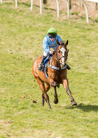 Pony Race 2 - 148cm  (15 of 49).jpg