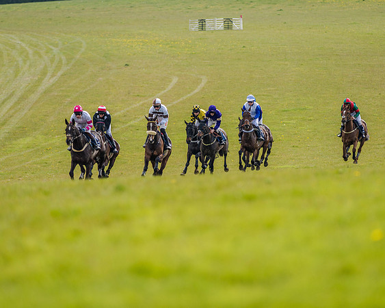 Race 5 - Subaru Restricted Race (66 of 159).jpg