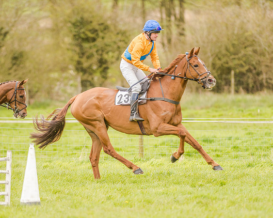 Race 2 - Open Maiden  (53 of 170).jpg