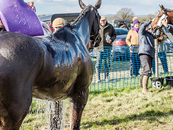 Race 5 - The Southern Grand national (84 of 96).jpg