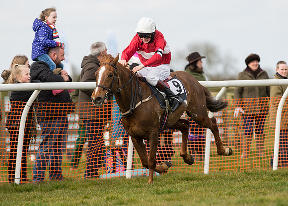 Pony Race 1 - 138cm -83