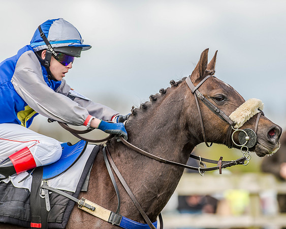 Pony Race 2 (71 of 77).jpg