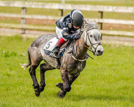 Pony Race 1  (44 of 65).jpg