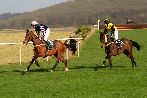 Race 2 Open Maiden Div 1 -  23