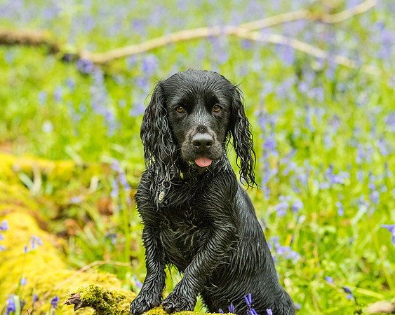 Anne BnB  (99 of 227)