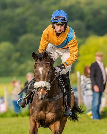 Race 7 - Div 2 - Open Maiden (42 of 163).jpg