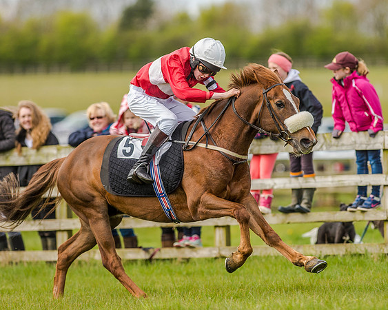 Pony Race 2 (53 of 77).jpg