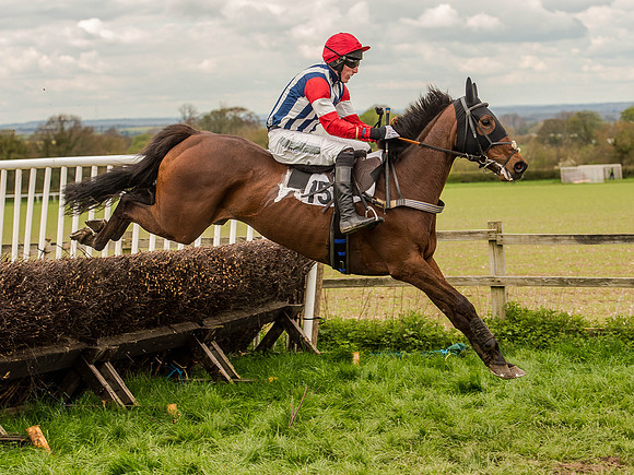 Race 3 - Young Horse maiden 2m5f (74 of 124).jpg