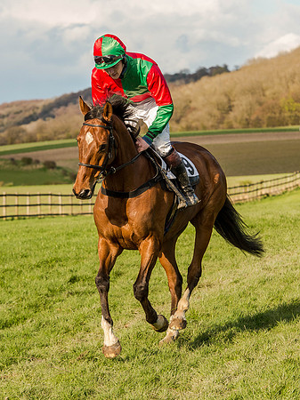 Race 7 - The Restricted Race (12 of 42).jpg