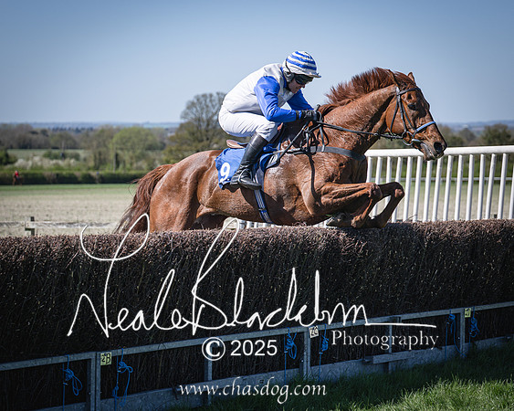 Race 2 - The Maiden (82 of 118)