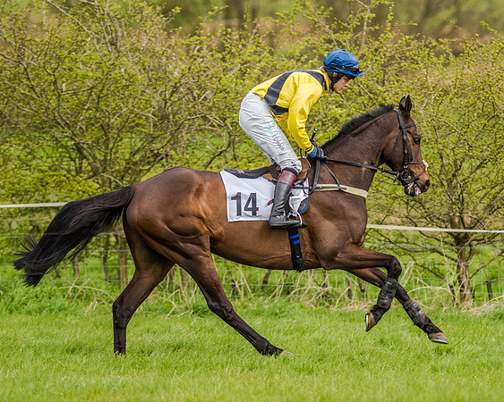 Race 7 - PPORA Members Conditions (40 of 192)