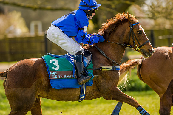 Pony Races (41 of 127).jpg