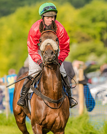 Race 7 - Div 2 - Open Maiden (46 of 163).jpg