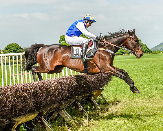 Race 3 - The Intermediate Race (52 of 97).jpg